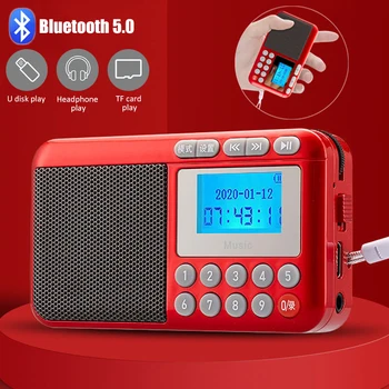Mini Kaasaskantav FM-Raadio 5.0 Bluetooth Kõlar MP3-Pleieri, mille LCD-Ekraan, Tugi Salvestuse TF Kaart/U Disk/Kõrvaklapid Mängida 3