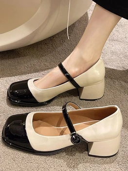 Mary Janes Mitte Tõsta Vabaaja Pumbad Naine Disain Elegantne Keskmise Kontsaga Sandaalid Lukk 2022 Sügisel Pehme Korea Fashion Shoes Stiilne 12