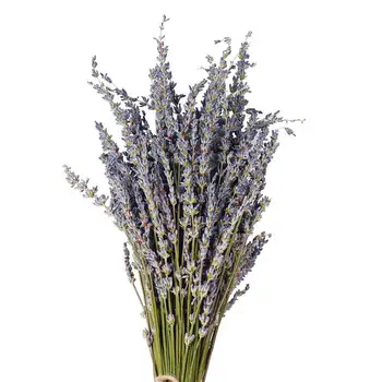 Füüsiline Lavendel Kimp Surematu Värsked, Kuivatatud Lilled DIY Home Office Bankett Pulm Teenetemärgi Ilusad Ja Mugavad