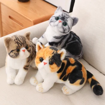 Simulatsioon Ameerika Shorthair Kassi -, Plüüš-Mänguasi, Täidisega tõetruu Palus Siiami kass Loomade doll mänguasjad Lastele Lemmiklooma Mänguasja Kaunistamiseks