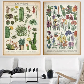 Kaasaegne Taim, Lill, Kaktused Succulents Lõuendile Maali Skandinaavia Plakatid ja Pildid Seina Kunst elutuba Home Decor Cuadros 11