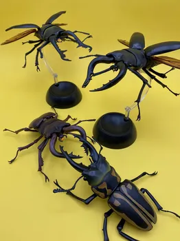 Bioloogiline Poissmeeste beetle Kuwagata Uang Dynastes Hercules kokku pandud Tegevus Joonis Mudel Mänguasjad Bandai Tõeline Gashapon Mänguasjad Putukas 13